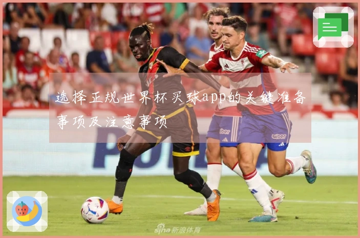 选择正规世界杯买球app的关键准备事项及注意事项