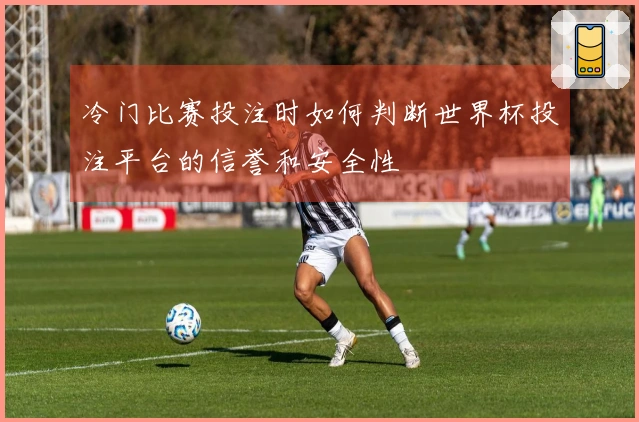 冷门比赛投注时如何判断世界杯投注平台的信誉和安全性