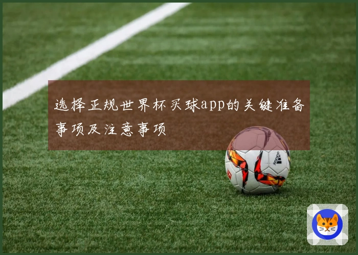 选择正规世界杯买球app的关键准备事项及注意事项