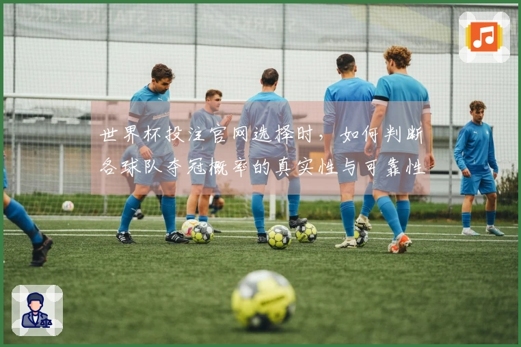 世界杯投注官网选择时，如何判断各球队夺冠概率的真实性与可靠性？