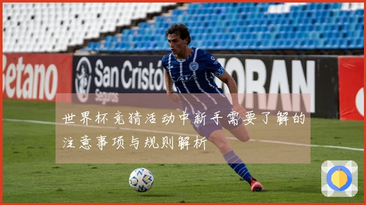 世界杯竞猜活动中新手需要了解的注意事项与规则解析