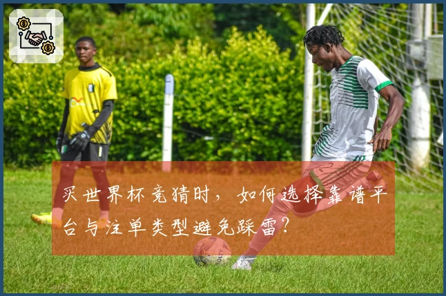 买世界杯竞猜时，如何选择靠谱平台与注单类型避免踩雷？